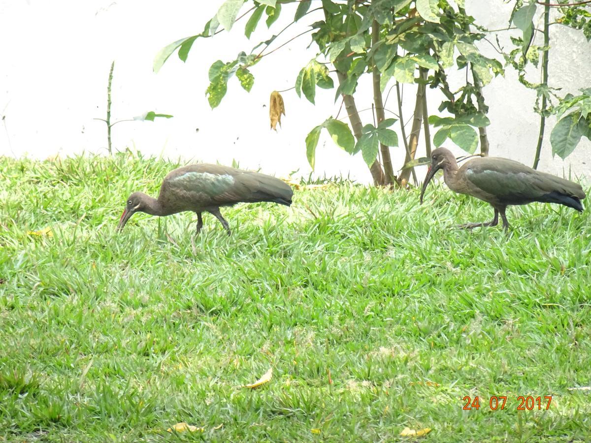 Kivu Beach Garden Gisenyi Εξωτερικό φωτογραφία