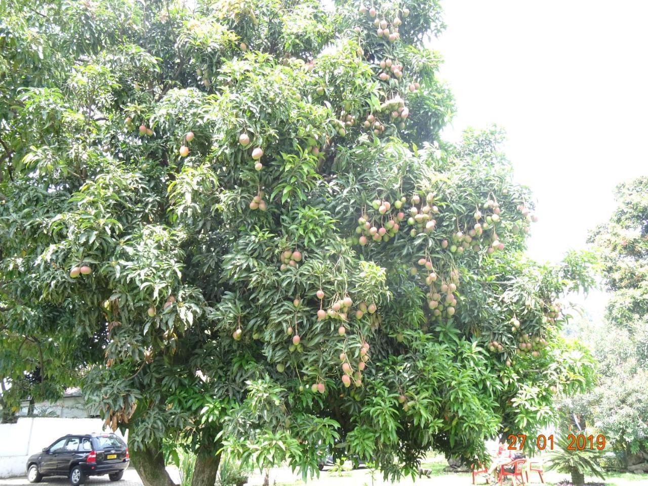 Kivu Beach Garden Gisenyi Εξωτερικό φωτογραφία